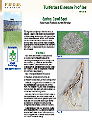 Turfgrass Disease Profiles: Spring Dead Spot