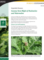 Vegetable Diseases: Gummy Stem Blight of Muskmelon and Watermelon