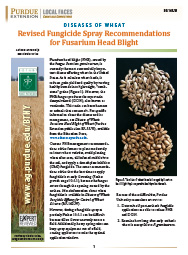 Diseases of Wheat: Revised Fungicide Spray Recommendations for Fusarium Head Blight
