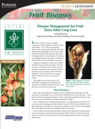 Fruit Diseases: Disease Management for Fruit Trees After Crop Loss