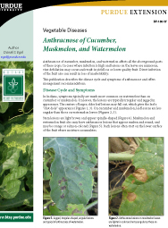 Vegetable Diseases: Anthracnose of Cucumber, Muskmelon, and Watermelon