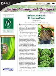 Disease Management Strategies for Horticultural Crops: Pythium Root Rot of Herbaceous Plants