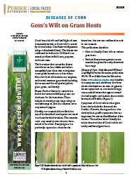 Diseases of Corn: Goss's Wilt on Grass Hosts