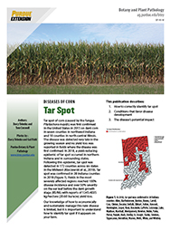 Diseases of Corn: Tar Spot