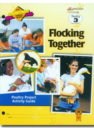 Poultry 3: Flocking Together