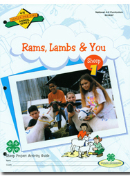 Sheep 1: Lambs, Rams, and You