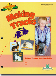 Rabbit 2: Making Tracks