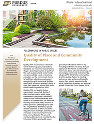 Quality of Place and Community Development