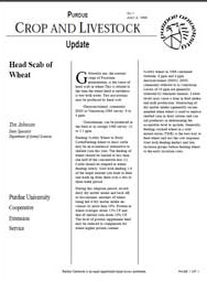 Head Scab of Wheat