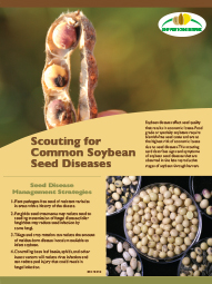 Scouting for Common Soybean Seed Diseases