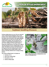 Soybean Disease Management: Soybean Seedling Diseases