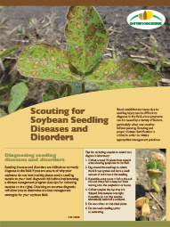 Scouting for Soybean Seedling Diseases and Disorders