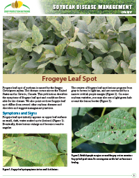 Soybean Disease Management: Frogeye Leaf Spot