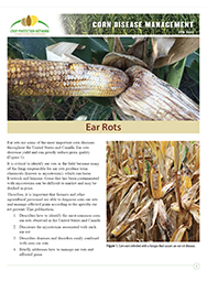 Corn Disease Management:  Ear Rots