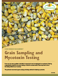 Corn Disease Management: Grain Sampling and Mycotoxin Testing