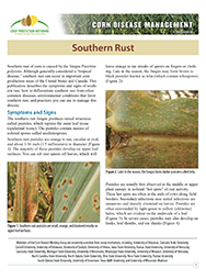Corn Disease Management: Southern Rust