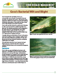 Corn Disease Management: Goss's Bacterial Wilt and Blight