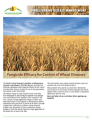 Small Grains Disease Management: Fungicide Efficacy for Control of Corn Diseases 2018