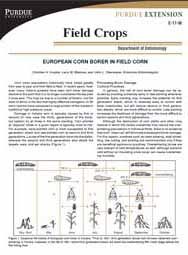 European Corn Borer in Field Corn