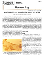 What Beekeepers Should Know About Bee Mites