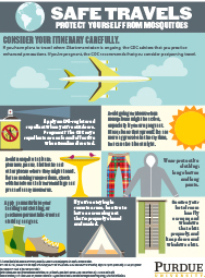 Safe Travels: Protect Yourself from Mosquitoes