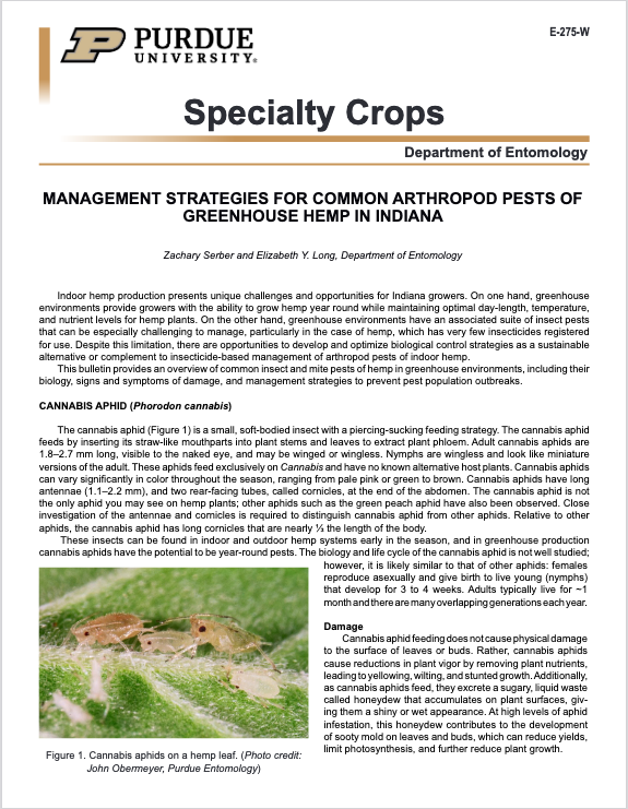 Management Strategies For Common Arthropod Pests of Greenhouse Hemp In Indiana