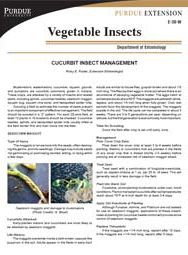 Cucurbit Insect Management
