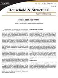 Social Bees and Wasps