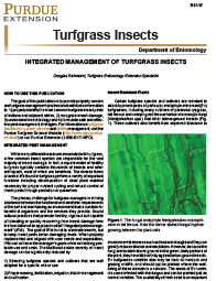 Turfgrass Insect Management
