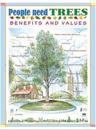 People Need Trees: Benefits & Values (English)