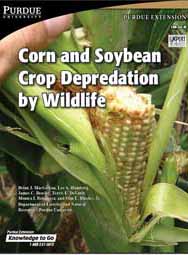 Corn and Soybean Crop Depredation by Wildlife