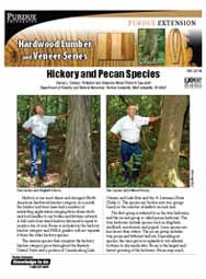 Hickory and Pecan Species
