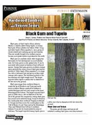 Black Gum and Tupelo