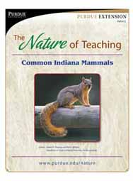 The Nature of Teaching: Common Indiana Mammals