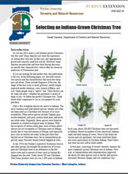 Selecting an Indiana-Grown Christmas Tree