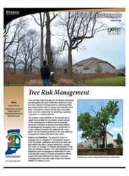 Tree Risk Management
