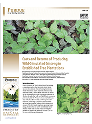 Costs and Returns of Producing Wild-Simulated Ginseng in Established Tree Plantations