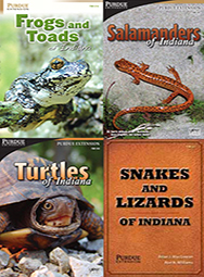 Indiana Amphibian and Reptile ID Package (4 softcover books)