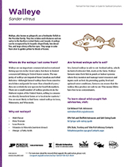 Walleye Farmed Fish Fact Sheet: A Guide for Seafood Consumers