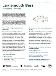 Largemouth Bass Farmed Fish Fact Sheet