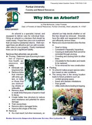Why Hire an Arborist