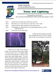 Trees and Lightning