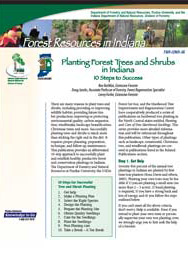 Planting Forest Trees and Shrubs in Indiana