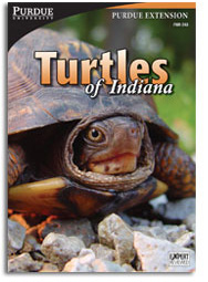 Turtles of Indiana