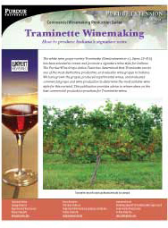 Commercial Winemaking Production Series: Traminette Winemaking