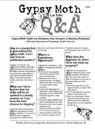 Gypsy Moth Q&A's for Christmas Tree Growers & Nursery Producers