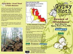 Beware of Hitch Hikers! Don't Give the Gypsy Moth a Free Ride