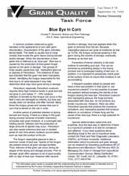Blue Eye in Corn