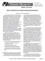 Why Is Stored Corn Deteriorating Prematurely?
