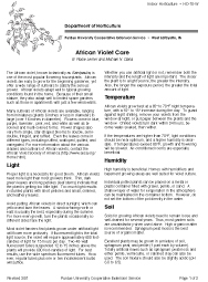 African Violet Care